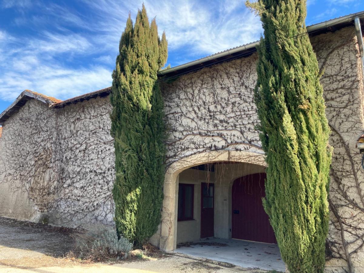 Domaine Feuillet Chanas Exterior foto